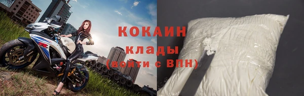 гашик Аркадак