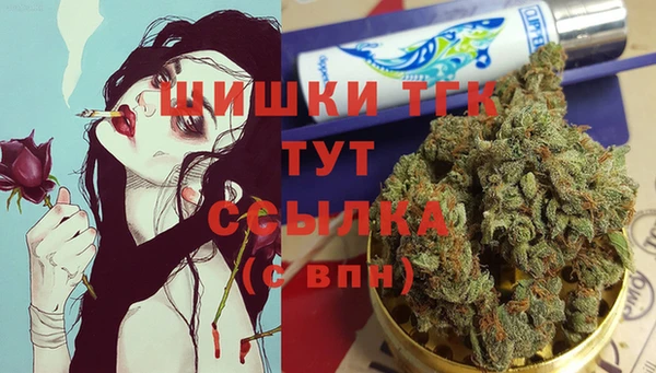 гашик Аркадак