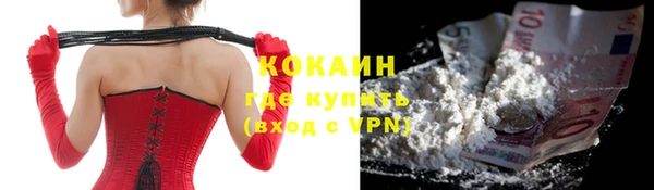 эйфоретик Арсеньев