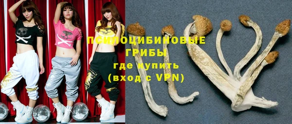 apvp Армянск