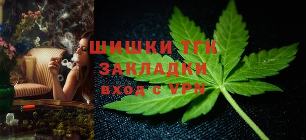эйфоретик Арсеньев