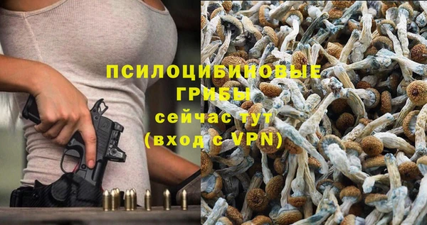 гашик Аркадак