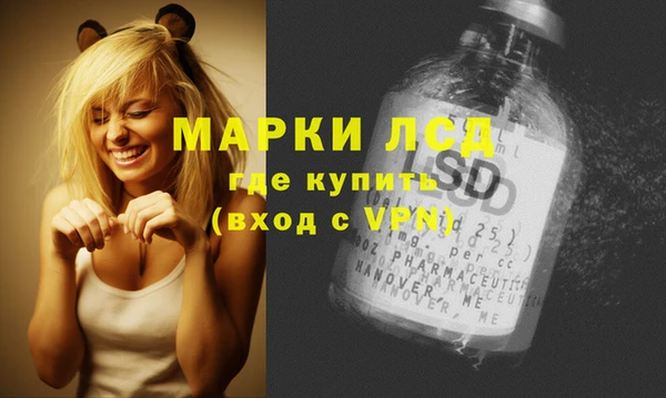 гашик Аркадак