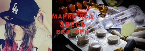 дживик Касимов