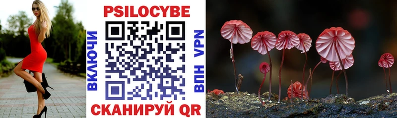 Галлюциногенные грибы MAGIC MUSHROOMS  Бежецк 
